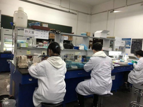 感受生物科技，創造無限未來——生物化工產品技術研發的社會實踐體會